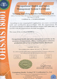 OHSMS 18001-1999